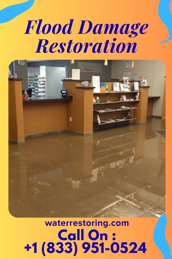 Flood Damage Restoration in Gary, IN