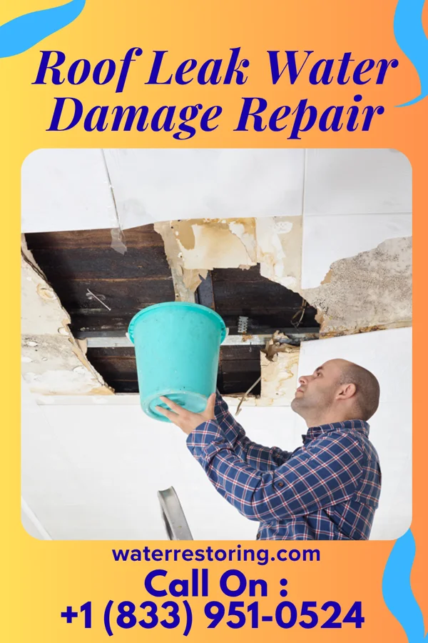 Roof Leak Water Damage Repair in Gary, IN