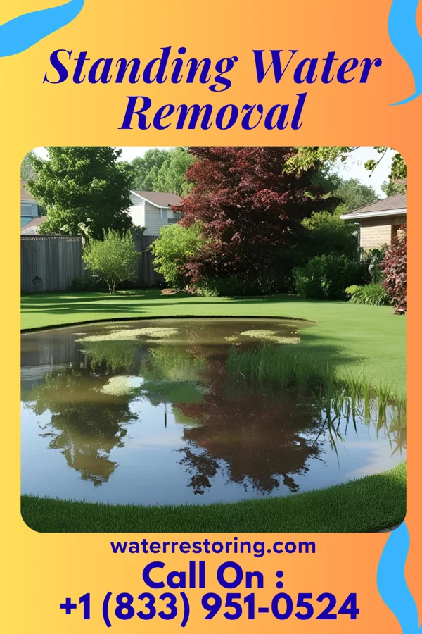 Standing Water Removal in Gary, IN